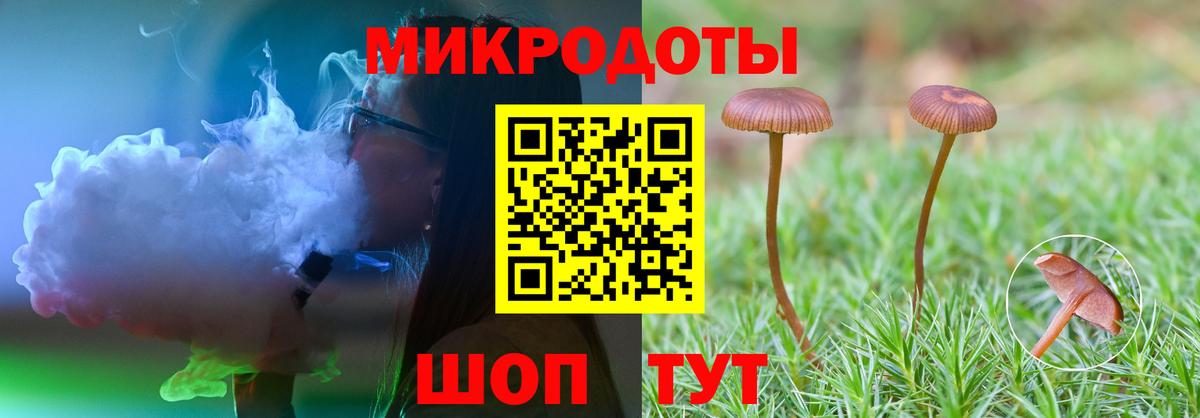 Псилоцибиновые грибы MAGIC MUSHROOMS  где можно купить наркотик  Волгодонск  Вход с VPN 